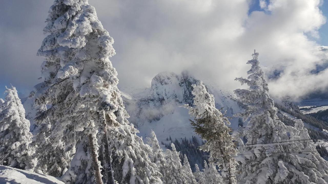 Alpenchalet Vils Tirol 외부 사진
